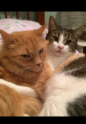 Oscar And Marshall
